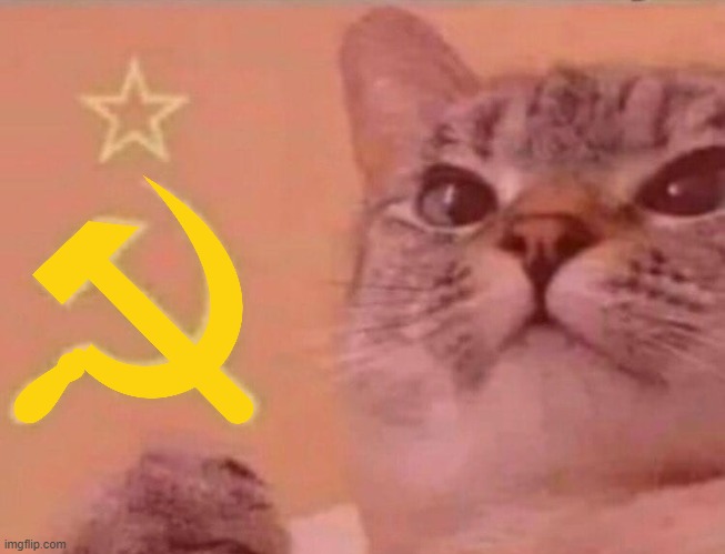 Cat | image tagged in communist cat,cat,e,russia | made w/ Imgflip meme maker