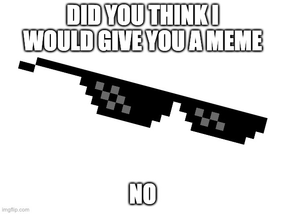 Blank White Template | DID YOU THINK I WOULD GIVE YOU A MEME; NO | image tagged in blank white template | made w/ Imgflip meme maker