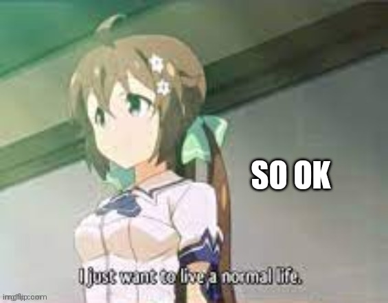 i just want to live a normal life | SO OK | image tagged in i just want to live a normal life | made w/ Imgflip meme maker