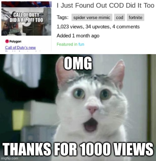 1000 Views | OMG; THANKS FOR 1000 VIEWS | image tagged in memes,omg cat | made w/ Imgflip meme maker