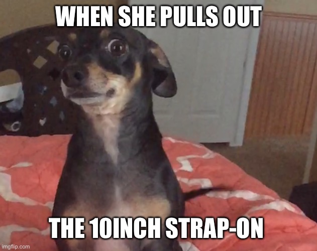 What The Hell Henry | WHEN SHE PULLS OUT; THE 10INCH STRAP-ON | image tagged in wtf thor | made w/ Imgflip meme maker