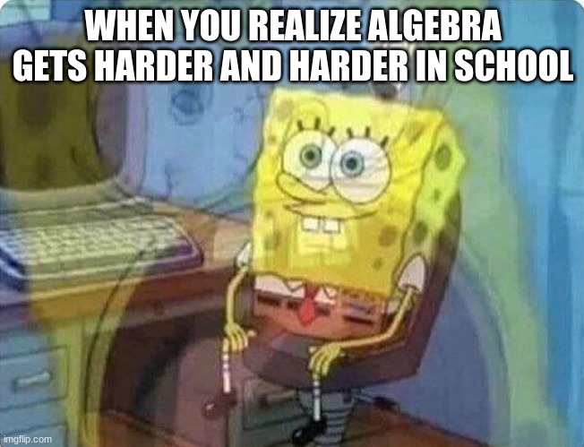 spongebob screaming inside | WHEN YOU REALIZE ALGEBRA GETS HARDER AND HARDER IN SCHOOL | image tagged in spongebob screaming inside | made w/ Imgflip meme maker