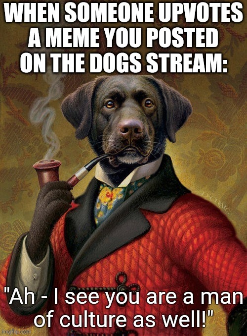 Well met, good sir... | image tagged in doggo,sophisticated,ah i see you are a man of culture as well,cultured,elegant,well met | made w/ Imgflip meme maker