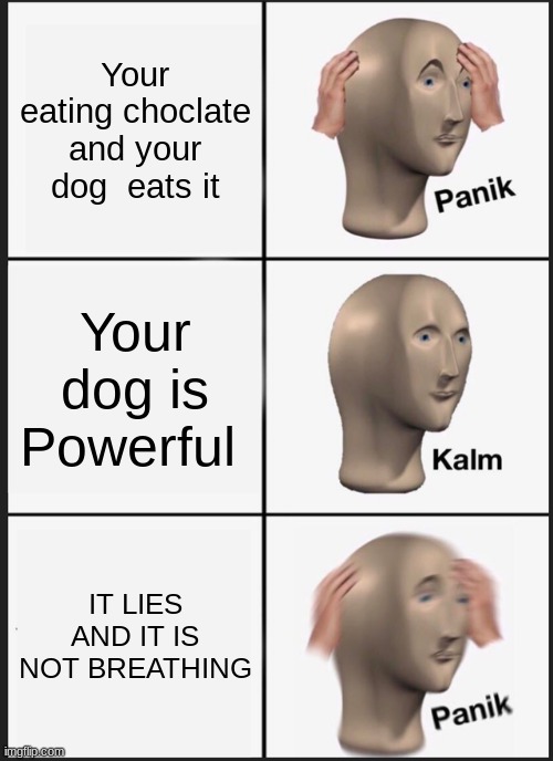 :C RIP | Your eating choclate and your dog  eats it; Your dog is Powerful; IT LIES AND IT IS NOT BREATHING | image tagged in memes,panik kalm panik | made w/ Imgflip meme maker