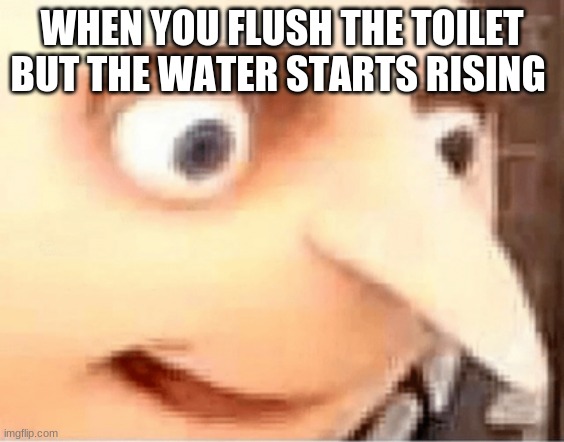 Gru | WHEN YOU FLUSH THE TOILET BUT THE WATER STARTS RISING | image tagged in gru,lol,memes | made w/ Imgflip meme maker