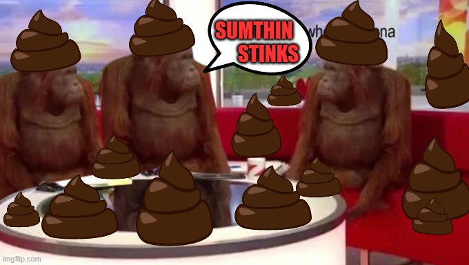 where banana | SUMTHIN        STINKS | image tagged in something stinks,sumthin stinks,stinks here | made w/ Imgflip meme maker