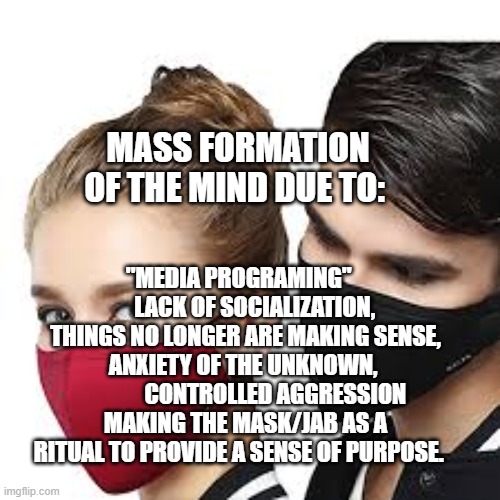 Mask Couple | MASS FORMATION OF THE MIND DUE TO:; "MEDIA PROGRAMING"        LACK OF SOCIALIZATION, THINGS NO LONGER ARE MAKING SENSE, ANXIETY OF THE UNKNOWN, 
             CONTROLLED AGGRESSION MAKING THE MASK/JAB AS A RITUAL TO PROVIDE A SENSE OF PURPOSE. | image tagged in mask couple | made w/ Imgflip meme maker