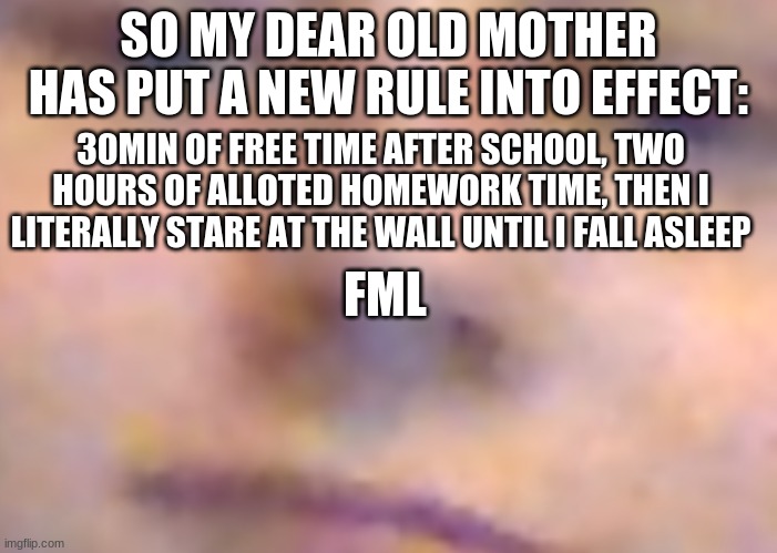 face | SO MY DEAR OLD MOTHER HAS PUT A NEW RULE INTO EFFECT:; 30MIN OF FREE TIME AFTER SCHOOL, TWO HOURS OF ALLOTED HOMEWORK TIME, THEN I LITERALLY STARE AT THE WALL UNTIL I FALL ASLEEP; FML | image tagged in face | made w/ Imgflip meme maker