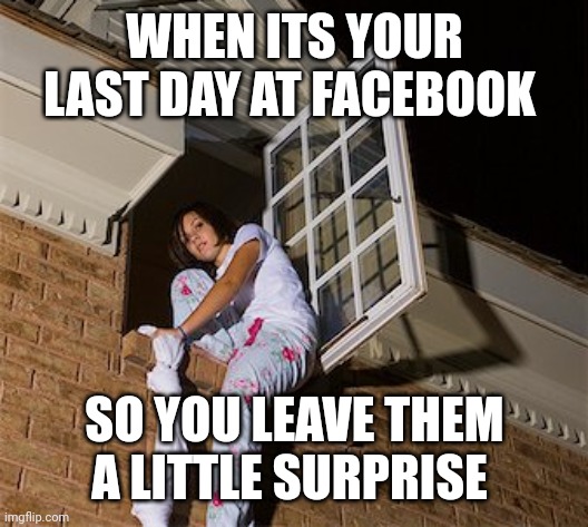 WHEN ITS YOUR LAST DAY AT FACEBOOK; SO YOU LEAVE THEM A LITTLE SURPRISE | image tagged in funny memes | made w/ Imgflip meme maker