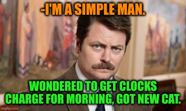 -Mew. | -I'M A SIMPLE MAN. WONDERED TO GET CLOCKS CHARGE FOR MORNING, GOT NEW CAT. | image tagged in i'm a simple man,cute cat,clocks,ron swanson,good morning,you had one job | made w/ Imgflip meme maker