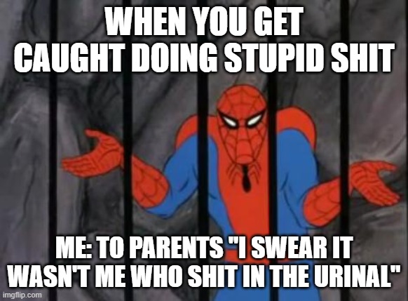 spiderman jail |  WHEN YOU GET CAUGHT DOING STUPID SHIT; ME: TO PARENTS "I SWEAR IT WASN'T ME WHO SHIT IN THE URINAL" | image tagged in spiderman jail | made w/ Imgflip meme maker
