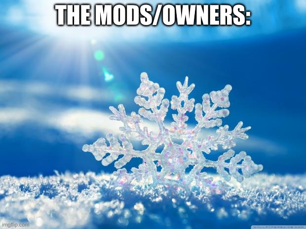 snowflake | THE MODS/OWNERS: | image tagged in snowflake | made w/ Imgflip meme maker