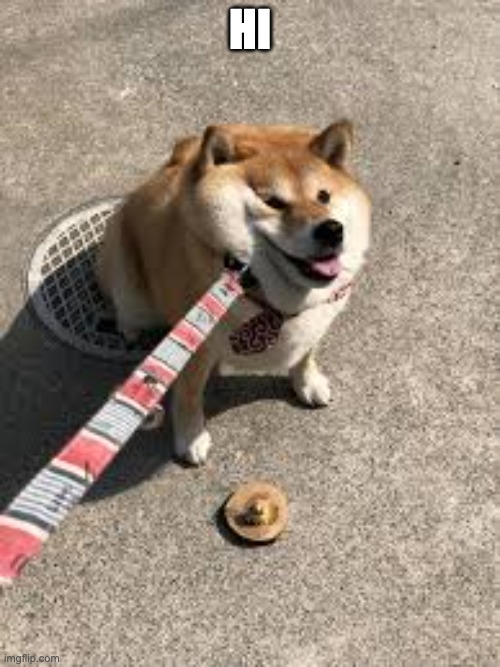Squishy doggo leash | HI | image tagged in squishy doggo leash | made w/ Imgflip meme maker