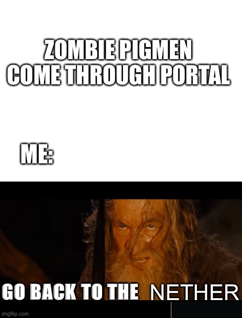 Go back to the nether | ZOMBIE PIGMEN COME THROUGH PORTAL; ME:; NETHER; GO BACK TO THE | image tagged in blank white template | made w/ Imgflip meme maker