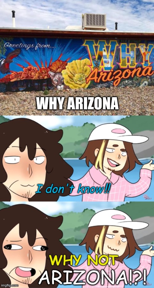 Why Arizona, Why not Arizona | WHY ARIZONA; !! ARIZONA!?! | image tagged in why not fish,why,arizona,game grumps | made w/ Imgflip meme maker