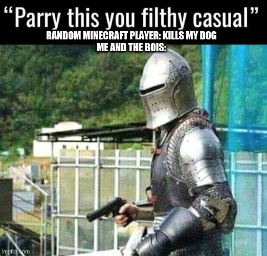 Parry this you filthy casual | RANDOM MINECRAFT PLAYER: KILLS MY DOG
ME AND THE BOIS: | image tagged in parry this you filthy casual | made w/ Imgflip meme maker