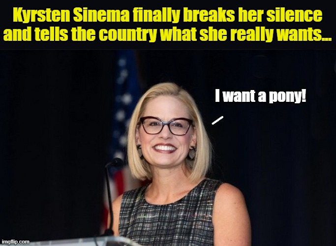 Ponies for everyone! | Kyrsten Sinema finally breaks her silence and tells the country what she really wants... I want a pony! | image tagged in government corruption,government shutdown,senate,capitol hill | made w/ Imgflip meme maker
