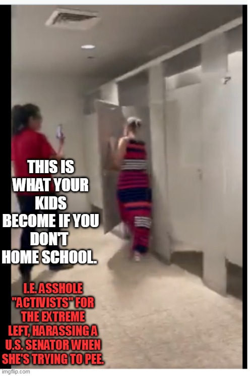 Kyrsten Sinema restroom | THIS IS WHAT YOUR KIDS BECOME IF YOU DON'T  HOME SCHOOL. I.E. ASSHOLE "ACTIVISTS" FOR THE EXTREME LEFT, HARASSING A U.S. SENATOR WHEN SHE'S TRYING TO PEE. | image tagged in kyrsten sinema restroom,build back better | made w/ Imgflip meme maker