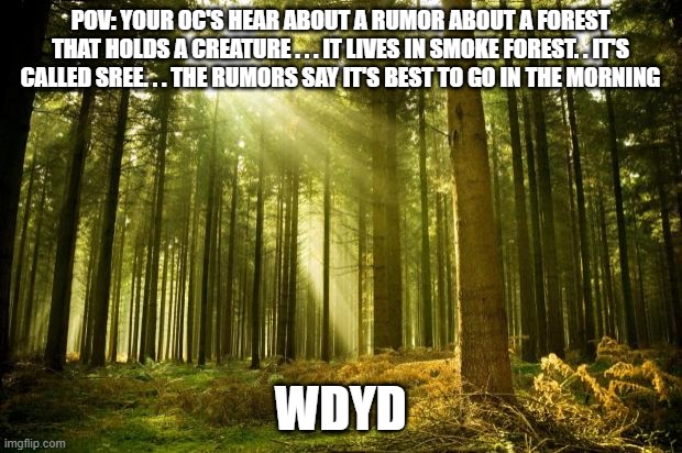 sunlit forest | POV: YOUR OC'S HEAR ABOUT A RUMOR ABOUT A FOREST THAT HOLDS A CREATURE . . . IT LIVES IN SMOKE FOREST. . IT'S CALLED SREE. . . THE RUMORS SAY IT'S BEST TO GO IN THE MORNING; WDYD | image tagged in sunlit forest | made w/ Imgflip meme maker