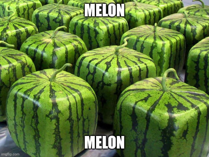 Melon | MELON; MELON | image tagged in melon | made w/ Imgflip meme maker