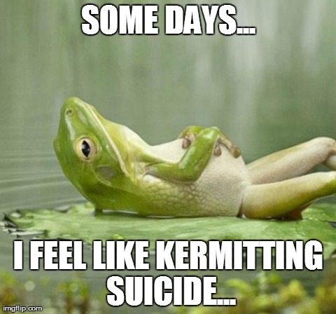 Suicide is no laughing matter... unless it's frogs. | SOME DAYS... I FEEL LIKE KERMITTING SUICIDE... | image tagged in frogs,animals,funny | made w/ Imgflip meme maker