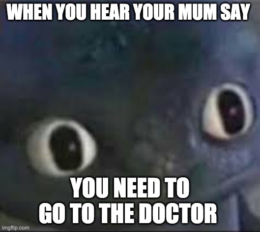 if you like this or find it funny give a like and a comment...thx | WHEN YOU HEAR YOUR MUM SAY; YOU NEED TO GO TO THE DOCTOR | image tagged in toothless _ face | made w/ Imgflip meme maker