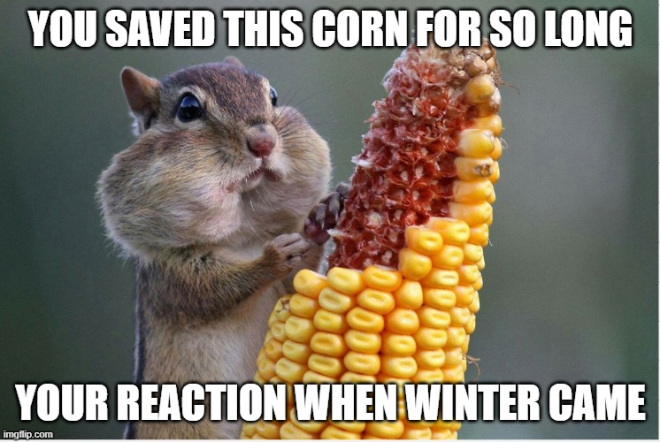 Chipmunk+ Winter | YOU SAVED THIS CORN FOR SO LONG; YOUR REACTION WHEN WINTER CAME | image tagged in chipmunk and corn | made w/ Imgflip meme maker