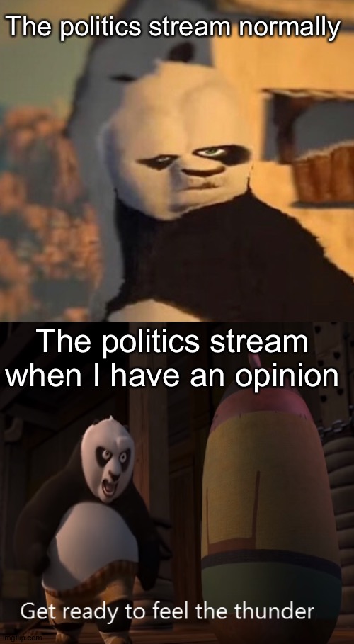 Skadoosh |  The politics stream normally; The politics stream when I have an opinion | image tagged in get ready to feel the thunder,drunk panda,politics,not really,kung fu panda | made w/ Imgflip meme maker