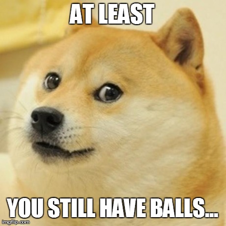 Doge Meme | AT LEAST YOU STILL HAVE BALLS... | image tagged in memes,doge | made w/ Imgflip meme maker