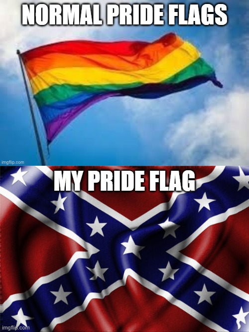 i was born in the south and i will die in the south | NORMAL PRIDE FLAGS; MY PRIDE FLAG | image tagged in gay flag,rebel flag | made w/ Imgflip meme maker