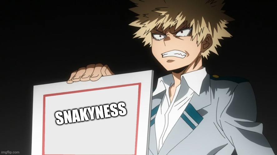 That's not how you spell snarkyness... | SNAKYNESS | image tagged in bakugo | made w/ Imgflip meme maker