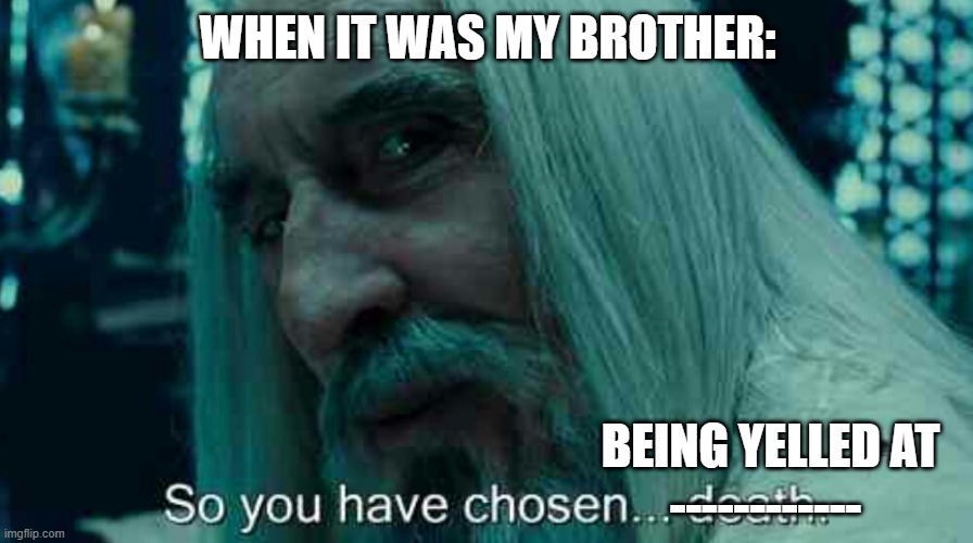 So you have chosen death | WHEN IT WAS MY BROTHER: ------------ BEING YELLED AT | image tagged in so you have chosen death | made w/ Imgflip meme maker