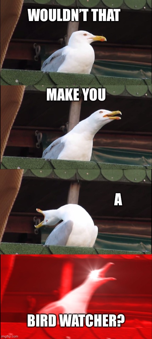 Bird voyeur | WOULDN’T THAT; MAKE YOU; A; BIRD WATCHER? | image tagged in memes,inhaling seagull,bird,watcher | made w/ Imgflip meme maker