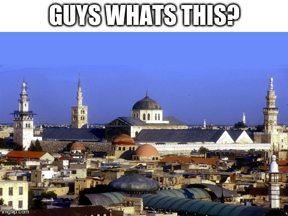 Tell me what this is? | GUYS WHATS THIS? | image tagged in memes,funny | made w/ Imgflip meme maker