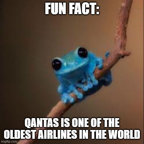 I KNOW I KNOW, nobody asked | FUN FACT:; QANTAS IS ONE OF THE OLDEST AIRLINES IN THE WORLD | image tagged in fun fact frog,australia | made w/ Imgflip meme maker