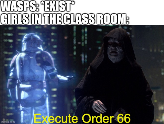 Execute Order 66 | WASPS: *EXIST*
GIRLS IN THE CLASS ROOM:; Execute Order 66 | image tagged in execute order 66 | made w/ Imgflip meme maker