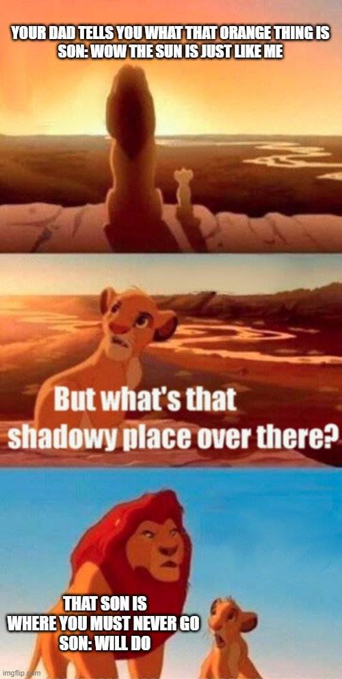 What is that | YOUR DAD TELLS YOU WHAT THAT ORANGE THING IS
SON: WOW THE SUN IS JUST LIKE ME; THAT SON IS WHERE YOU MUST NEVER GO 
SON: WILL DO | image tagged in memes,simba shadowy place | made w/ Imgflip meme maker