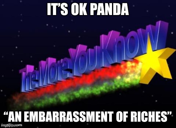 the more you know | IT’S OK PANDA “AN EMBARRASSMENT OF RICHES” | image tagged in the more you know | made w/ Imgflip meme maker