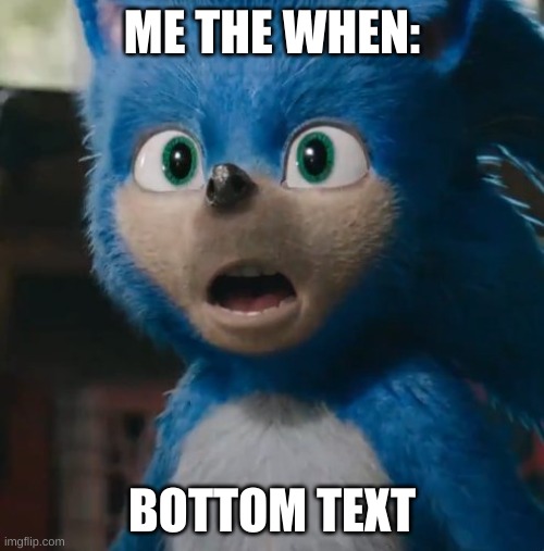 lmfao idfk anymore | ME THE WHEN:; BOTTOM TEXT | image tagged in sonic movie | made w/ Imgflip meme maker