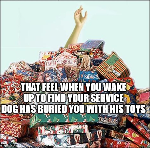 Feeling the Love | THAT FEEL WHEN YOU WAKE UP TO FIND YOUR SERVICE DOG HAS BURIED YOU WITH HIS TOYS | image tagged in service dog,dog toys,gifts | made w/ Imgflip meme maker
