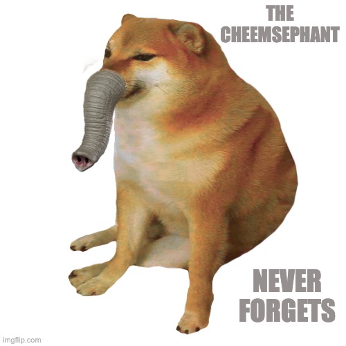 Meanwhile, in the Cheems stream | THE CHEEMSEPHANT; NEVER FORGETS | image tagged in cheems,elephant,silly | made w/ Imgflip meme maker