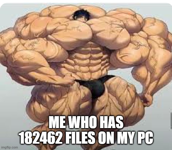 ME WHO HAS 182462 FILES ON MY PC | made w/ Imgflip meme maker