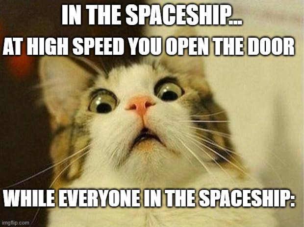 Scared Cat Meme | AT HIGH SPEED YOU OPEN THE DOOR; IN THE SPACESHIP... WHILE EVERYONE IN THE SPACESHIP: | image tagged in memes,scared cat | made w/ Imgflip meme maker