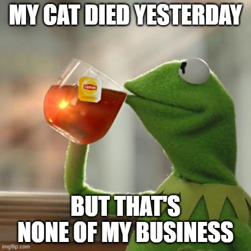 yay another kermit meme | MY CAT DIED YESTERDAY; BUT THAT'S NONE OF MY BUSINESS | image tagged in memes,but that's none of my business,kermit the frog | made w/ Imgflip meme maker