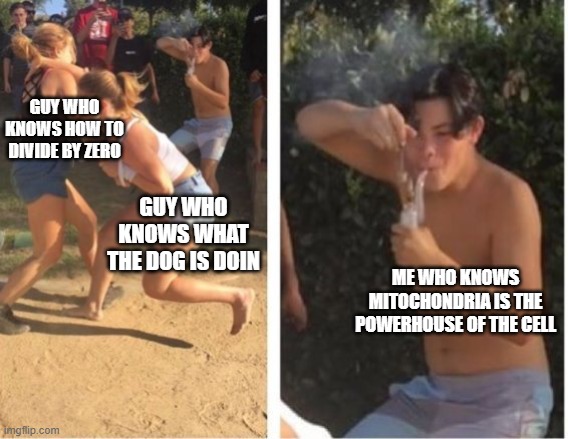 Dabbing Dude | GUY WHO KNOWS HOW TO DIVIDE BY ZERO; GUY WHO KNOWS WHAT THE DOG IS DOIN; ME WHO KNOWS MITOCHONDRIA IS THE POWERHOUSE OF THE CELL | image tagged in dabbing dude | made w/ Imgflip meme maker
