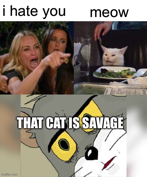 i hate you; meow; THAT CAT IS SAVAGE | image tagged in memes,woman yelling at cat | made w/ Imgflip meme maker