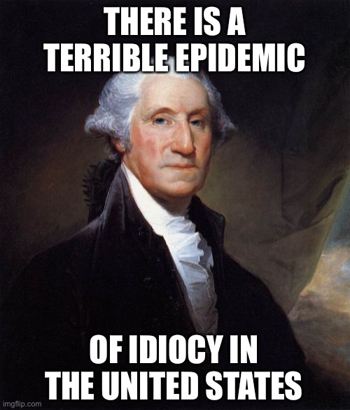 Finally. A Political Meme Everyone Can Agree With! | THERE IS A TERRIBLE EPIDEMIC; OF IDIOCY IN THE UNITED STATES | image tagged in memes,george washington,new normal | made w/ Imgflip meme maker