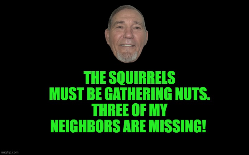 black screen | THE SQUIRRELS MUST BE GATHERING NUTS.
THREE OF MY NEIGHBORS ARE MISSING! | image tagged in black screen | made w/ Imgflip meme maker