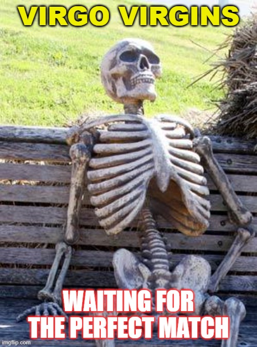 Virgo Virgins Waiting For The Perfect Match | VIRGO VIRGINS; WAITING FOR THE PERFECT MATCH | image tagged in memes,waiting skeleton | made w/ Imgflip meme maker