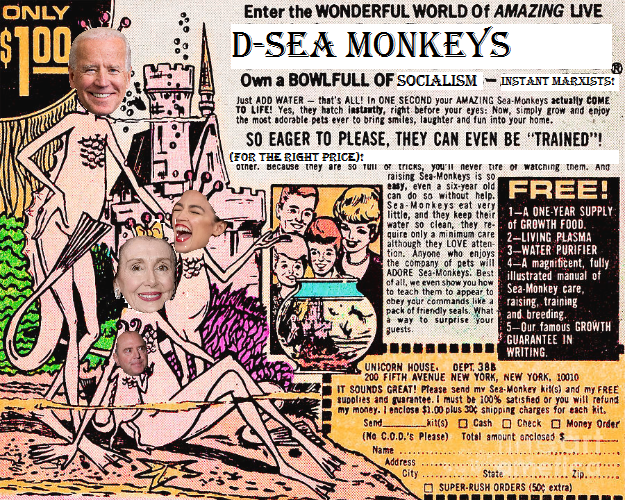 D-Sea Monkeys Blank Meme Template